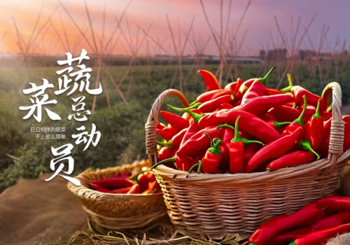 风暴娱乐 dadac