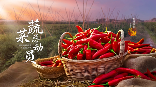 风暴娱乐 465cb